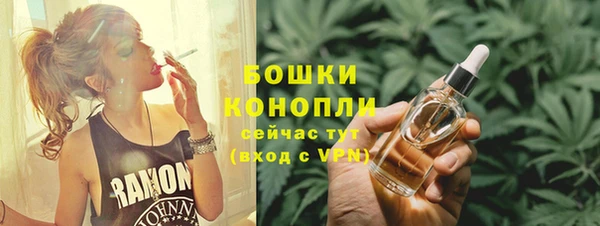 шишки Алексеевка