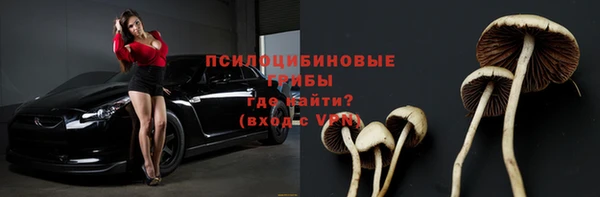 тгк Алексин