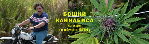 шишки Алексеевка